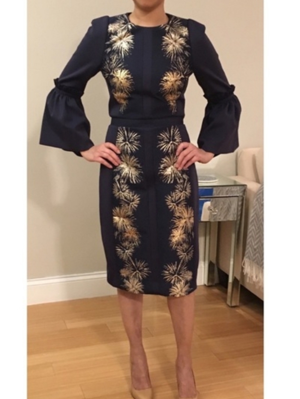 Ted Baker London Fireworks Sheath Dress NWOT - Picture 4 of 11